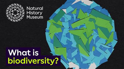  Biodiversity: A Natural History of Vietnam, Une exploration passionnante des trésors de la nature!